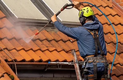 Démoussage et hydrofuge de toiture à la Versanne